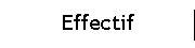 Effectif