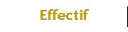 Effectif